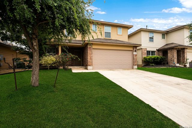 469 EASTERN PHOEBE, San Antonio, TX 78253