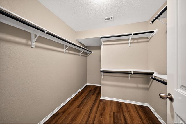469 EASTERN PHOEBE, San Antonio, TX 78253