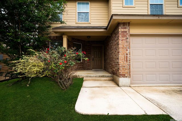 469 EASTERN PHOEBE, San Antonio, TX 78253