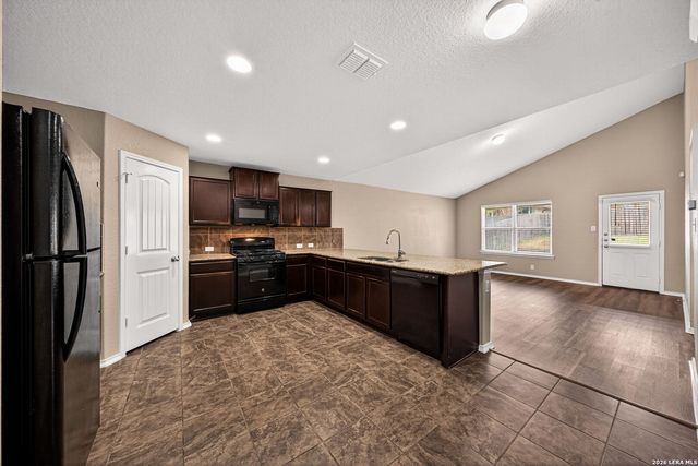 469 EASTERN PHOEBE, San Antonio, TX 78253