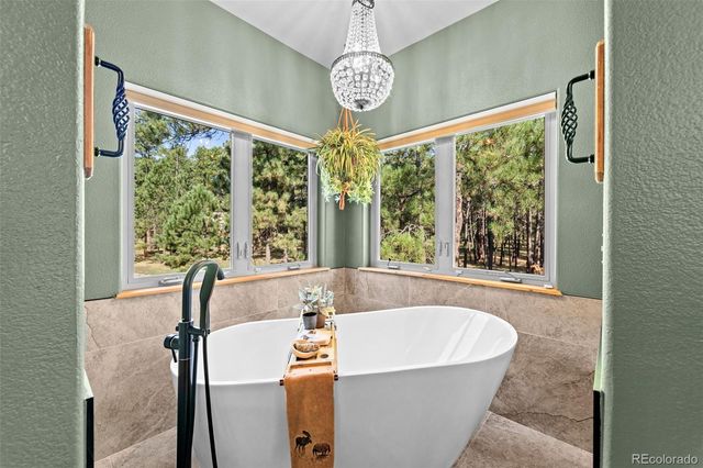 15984 Pole Pine Point, Colorado Springs, CO 80908