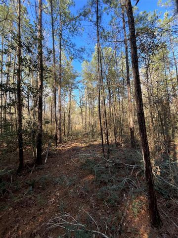 175 Exploration Road, Willis, TX 77378