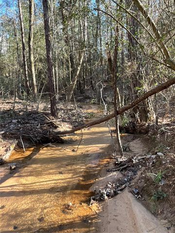 175 Exploration Road, Willis, TX 77378