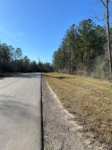 175 Exploration Road, Willis, TX 77378