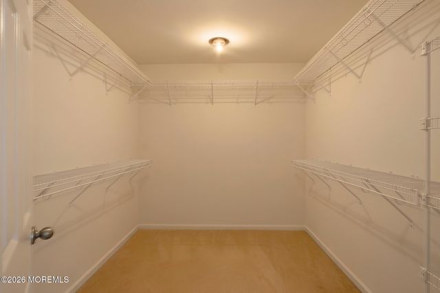 56 Eckert Drive 4204, Lincroft, NJ 07738