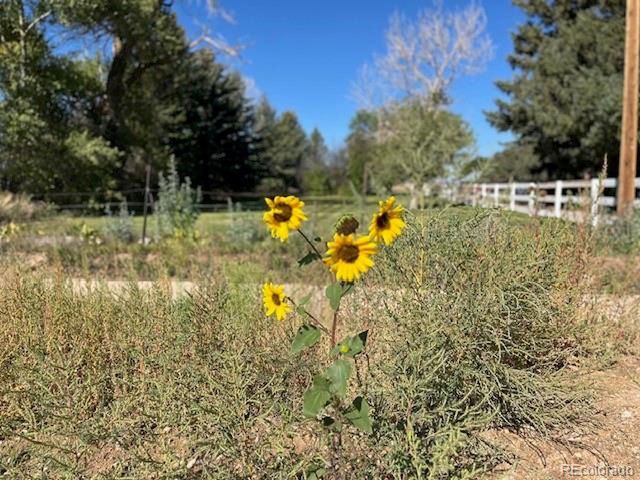 10495 County Road 11, San Luis, CO 81152