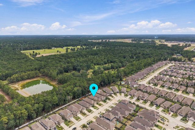 17447 Vino Vines Lane, Conroe, TX 77302