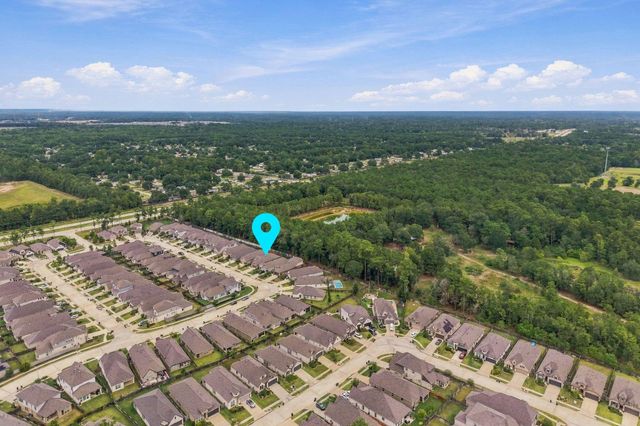 17447 Vino Vines Lane, Conroe, TX 77302