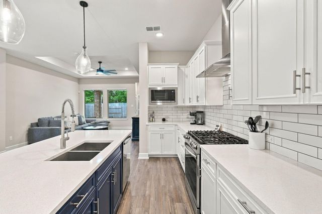 17447 Vino Vines Lane, Conroe, TX 77302