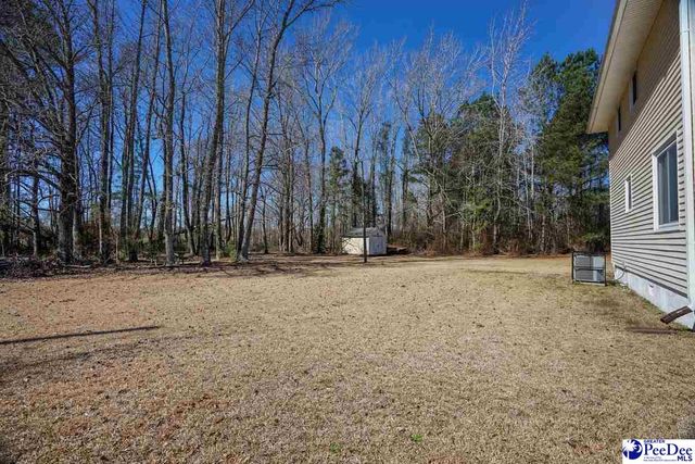 2070 E Lynches River Rd, Timmonsville, SC 29161