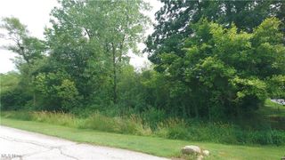 VL Palomino Trail, Kirtland, OH 44094