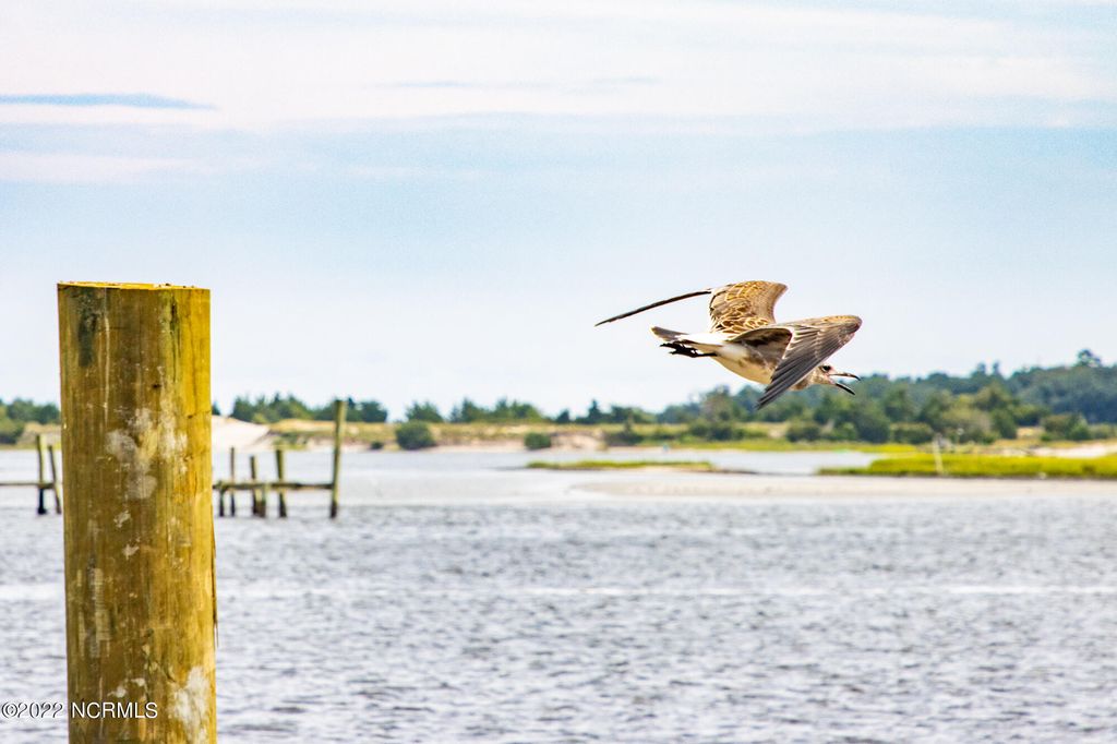 Image 12 of property listing at N/A Parkertown Road, Hubert, NC 28539