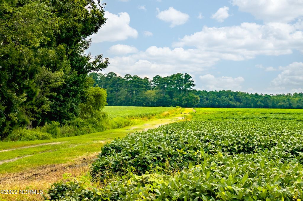 Image 2 of property listing at N/A Parkertown Road, Hubert, NC 28539