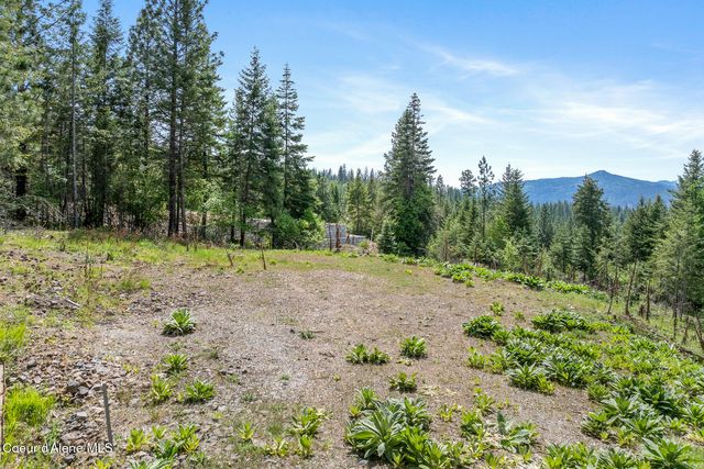 2056 Echo Canyon Dr, Harrison, ID 83833