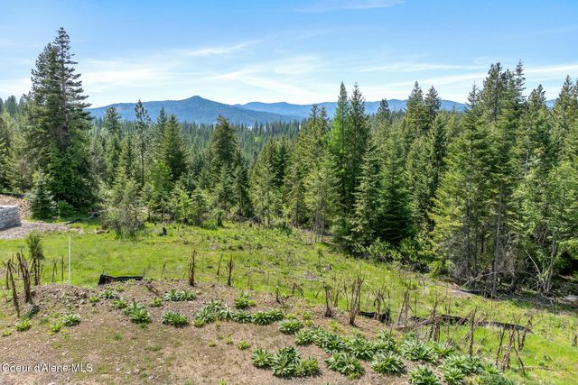 2056 Echo Canyon Dr, Harrison, ID 83833