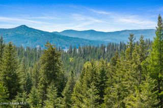 2056 Echo Canyon Dr, Harrison, ID 83833