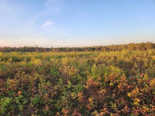 40 Acres (1st) Monroe (Easement) Road, Harrison, MI 48625