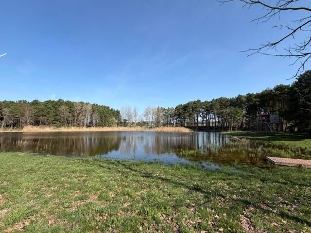 6301 S Stiles Road, Pentwater, MI 49449