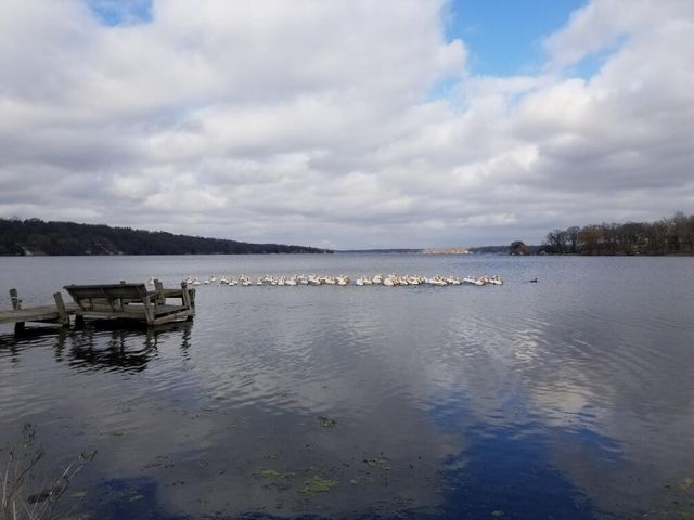 4222 Maple DRIVE, Delavan, WI 53115