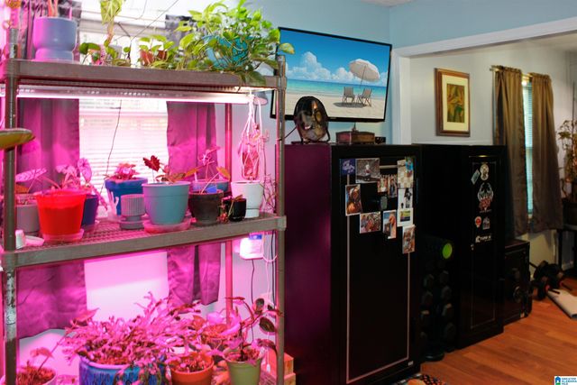 2285 UNIVERSITY WAY, Centreville, AL 35042