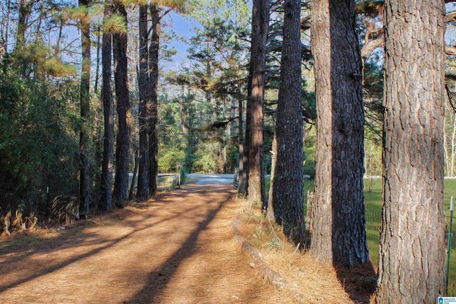 2285 UNIVERSITY WAY, Centreville, AL 35042