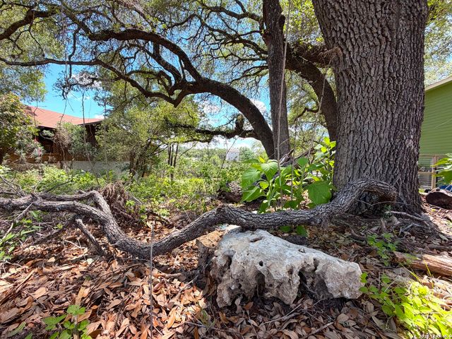 273 Scenic Dr., Canyon Lake, TX 78133