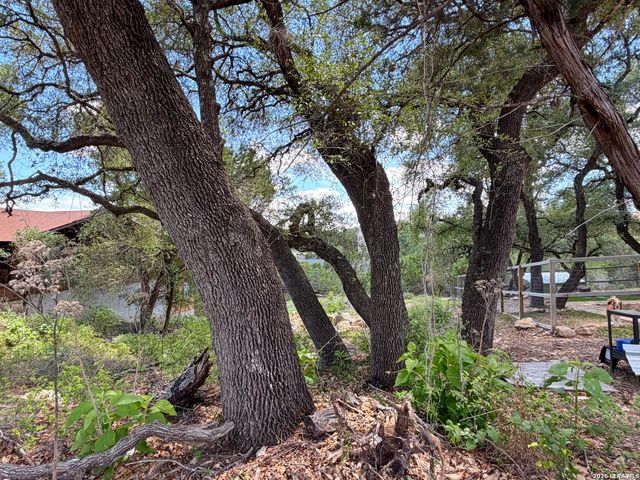 273 Scenic Dr., Canyon Lake, TX 78133
