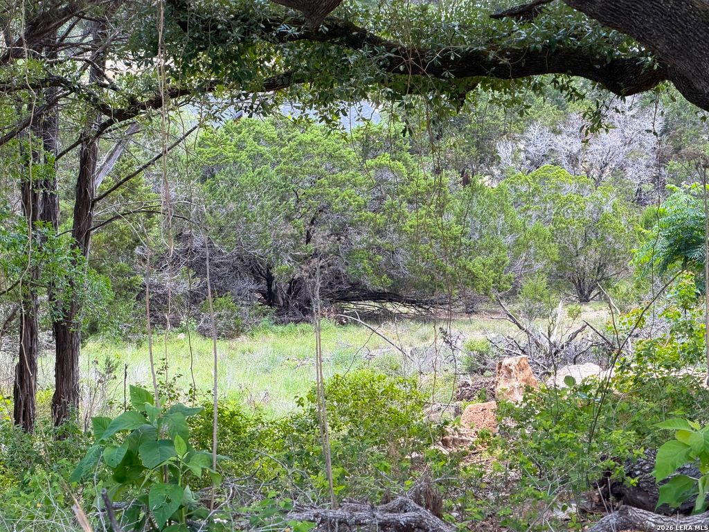 273 Scenic Dr., Canyon Lake, TX 78133