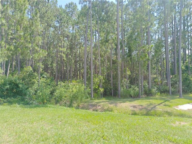 2856 CAMDEN WAY, Davenport, FL 33837