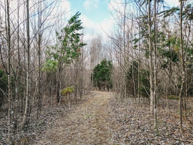 0 Parker Branch & Mt Laura Ln, Franklin, TN 37064