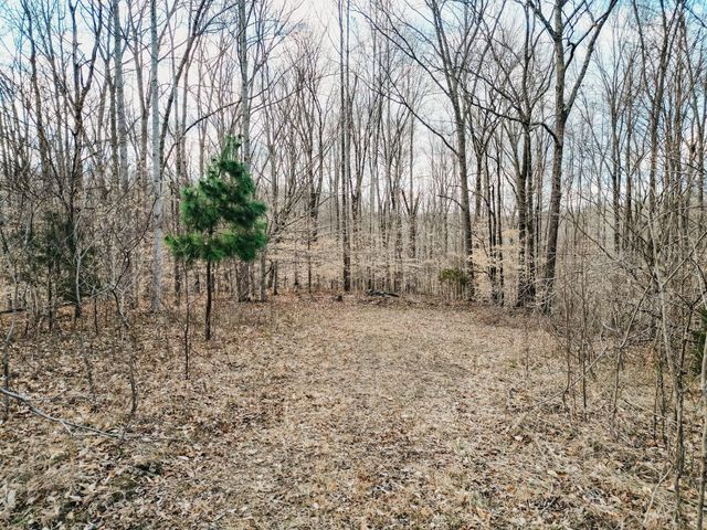 0 Parker Branch & Mt Laura Ln, Franklin, TN 37064