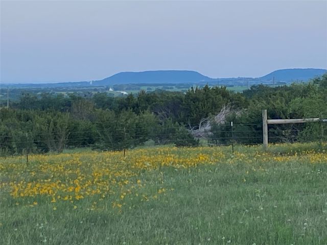 2473 County Road 199, Iredell, TX 76649