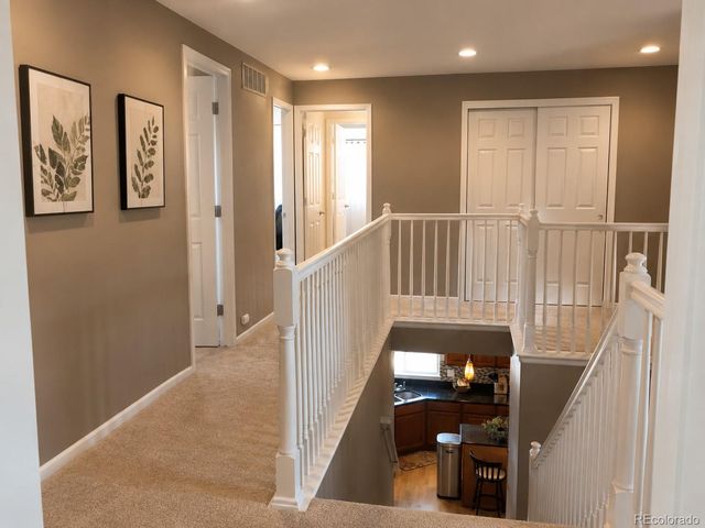 899 Tarpan Place, Castle Rock, CO 80104