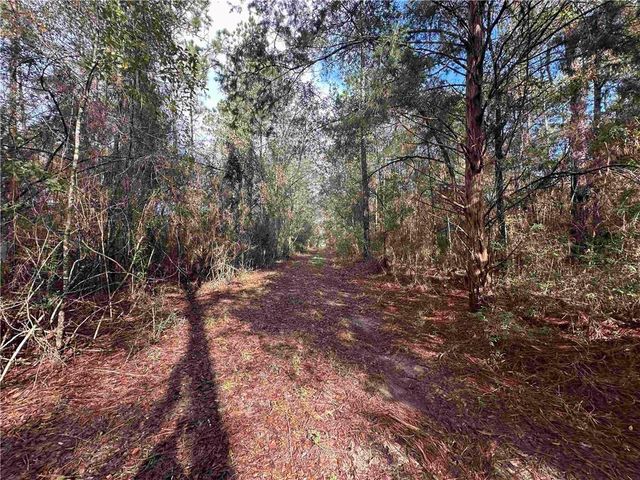 0 Patterson Road, Robertsdale, AL 36567