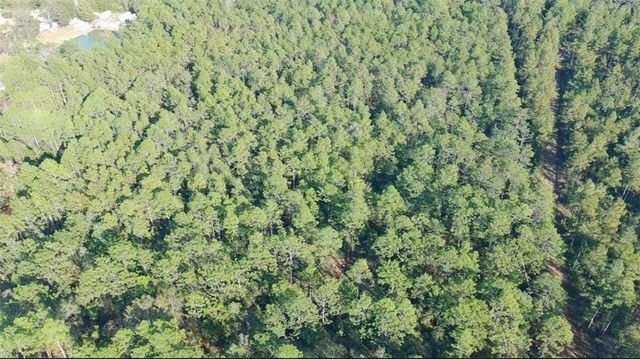 0 Patterson Road, Robertsdale, AL 36567