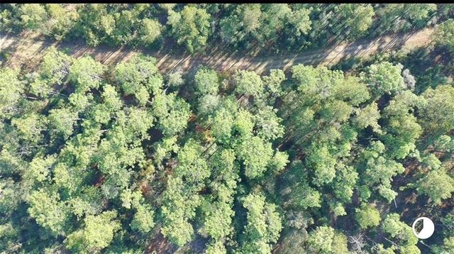 0 Patterson Road, Robertsdale, AL 36567