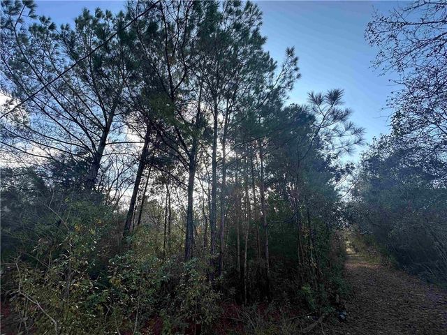 0 Patterson Road, Robertsdale, AL 36567