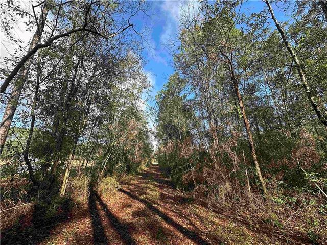 0 Patterson Road, Robertsdale, AL 36567