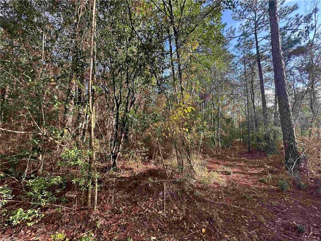 0 Patterson Road, Robertsdale, AL 36567