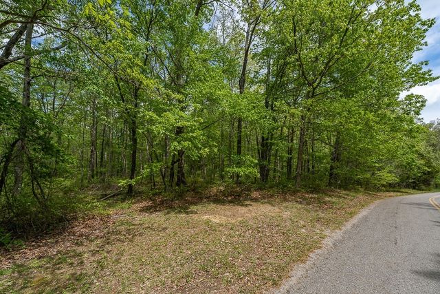 0 Long Mountain Rd, Mcminnville, TN 37110