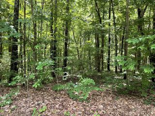 0 Long Mountain Rd, Mcminnville, TN 37110