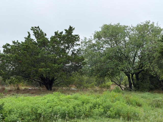 17408 Lake Wood CIR, Dripping Springs, TX 78620