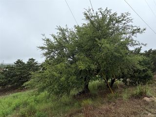 17408 Lake Wood CIR, Dripping Springs, TX 78620