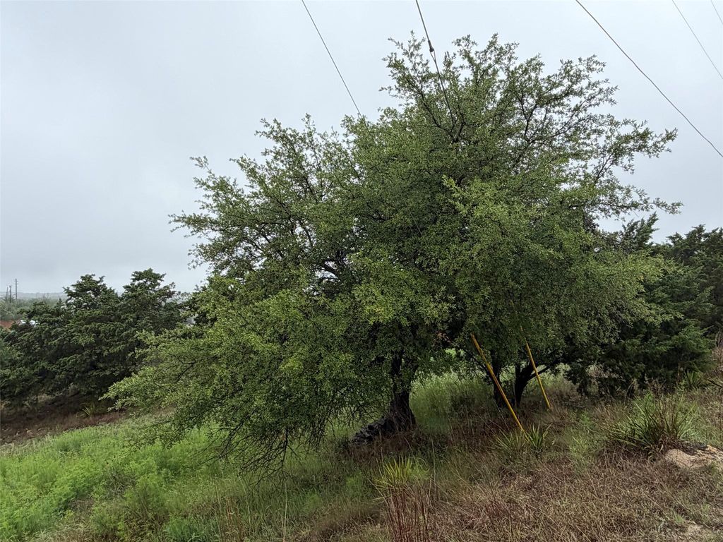 17408 Lake Wood CIR, Dripping Springs, TX 78620