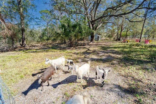 13215 SEMINOLE TRAIL, Wimauma, FL 33598