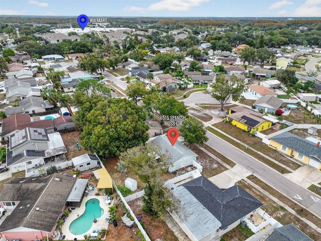 6515 SPANISH MOSS CIRCLE, Tampa, FL 33625