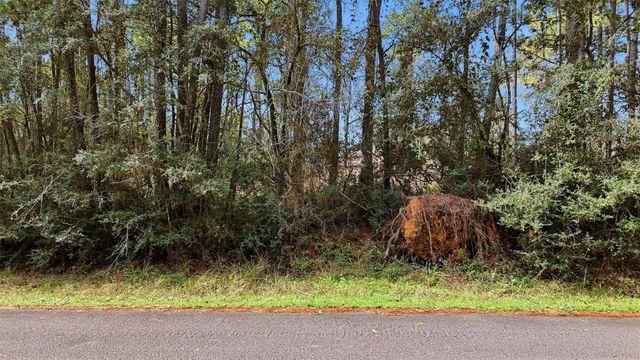 0 Tanglewood, Magnolia, TX 77534