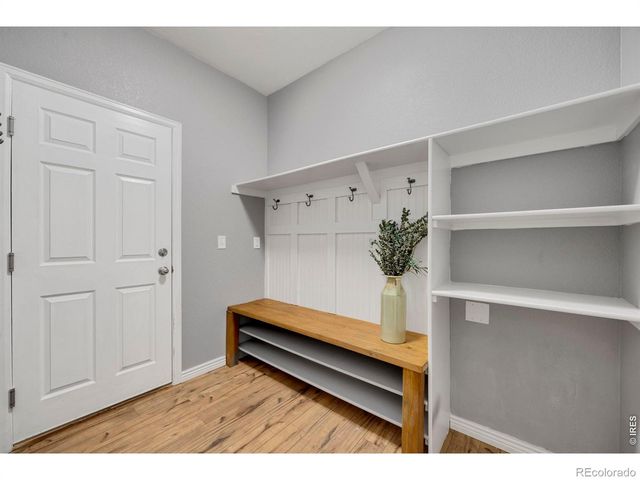 1555 Benfleet Court, Windsor, CO 80550