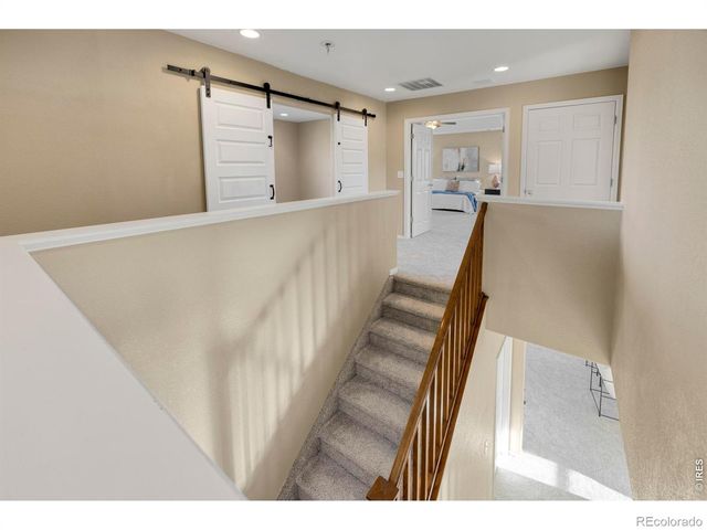 1555 Benfleet Court, Windsor, CO 80550