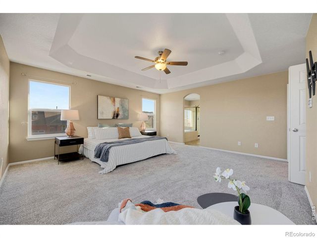 1555 Benfleet Court, Windsor, CO 80550